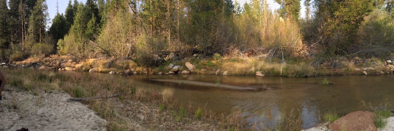 papercoho's profile banner image