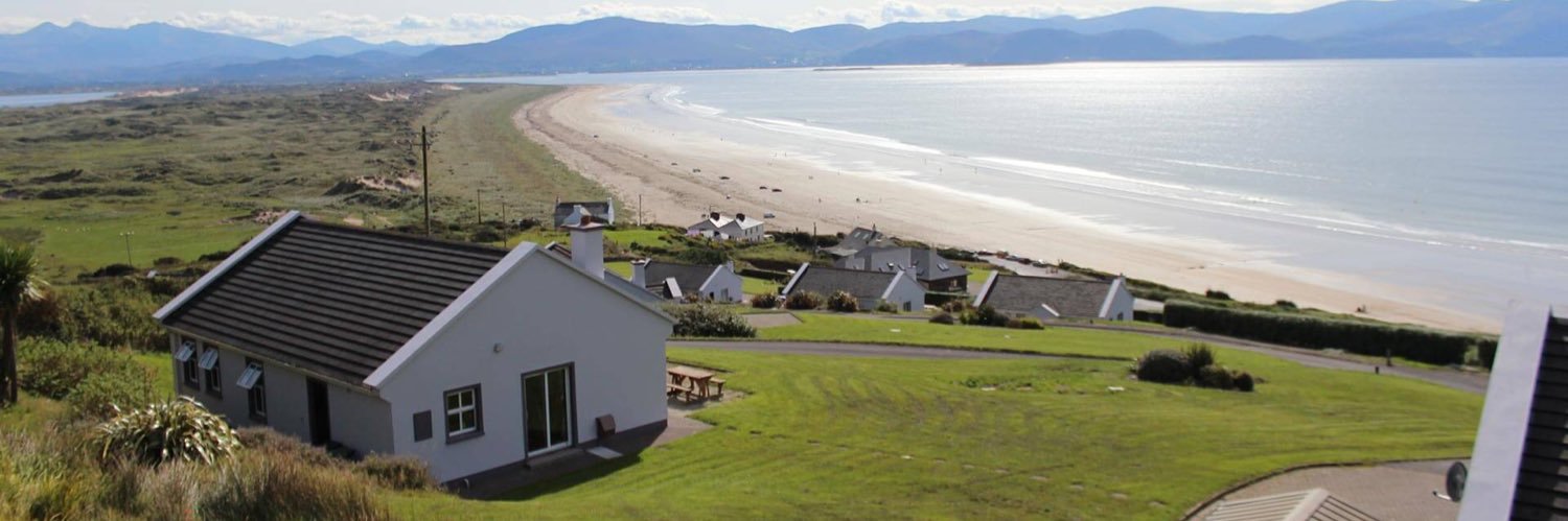 Hazel 🌳 🌷🦊 banner