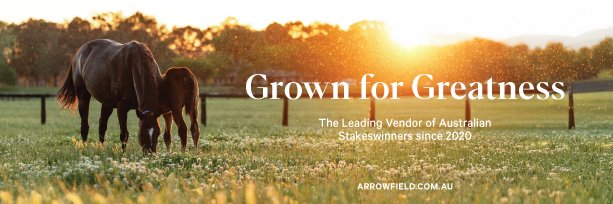 Arrowfield Stud banner