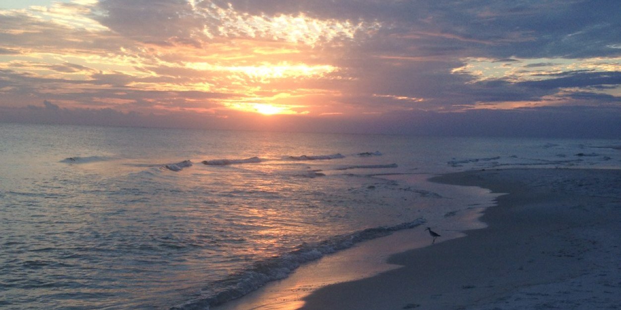 Morgan_Maness's profile banner image