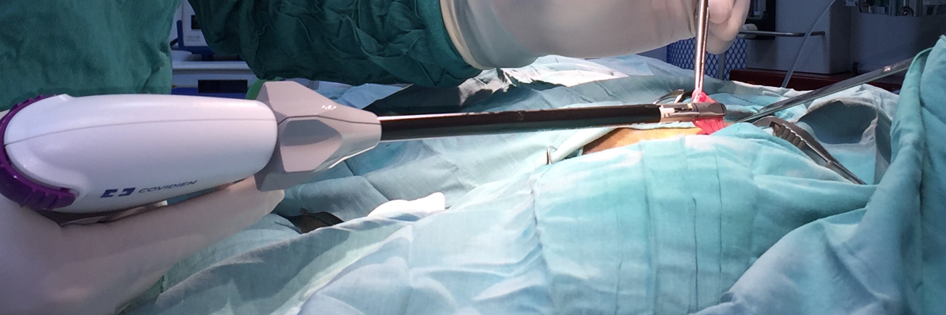 diagnosticovet's profile banner image