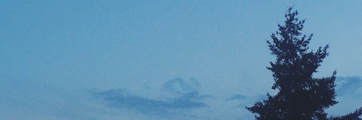 rinaam1's profile banner image