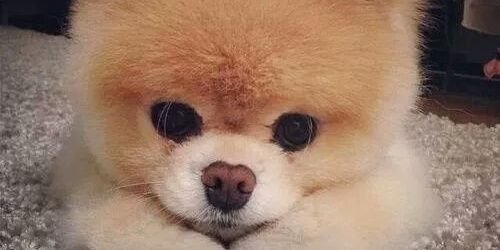 Maboolicious's profile banner image