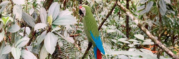 buoyantbabe Profile Banner