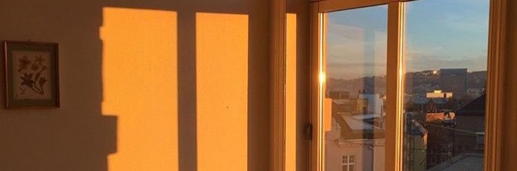 danielaacs_'s profile banner image