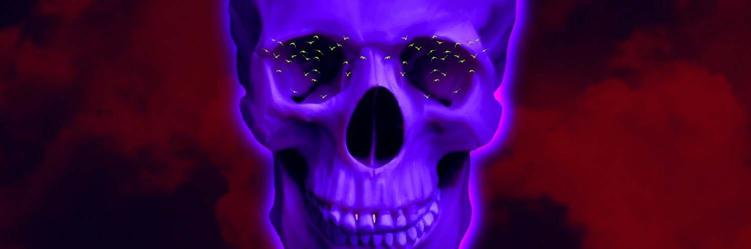 goforbrookie's profile banner image