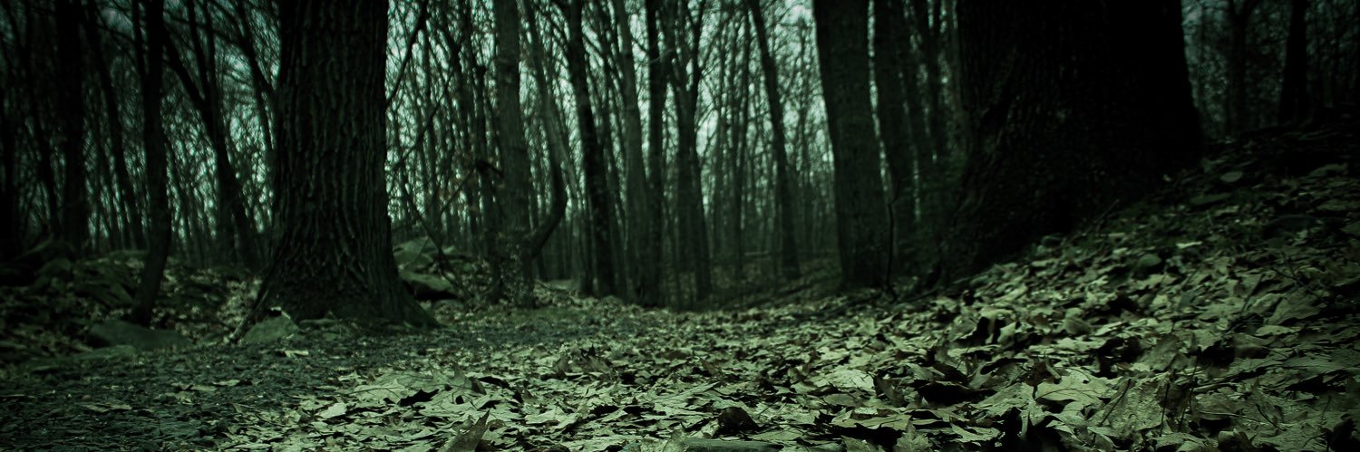 halessxxx's profile banner image