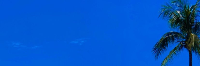 indahaputri's profile banner image
