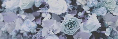 LauraCameron11's profile banner image