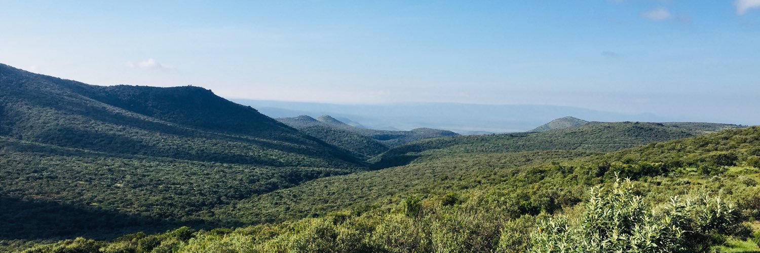 bugzyedel's profile banner image