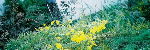 JulyBooks7 Profile Banner