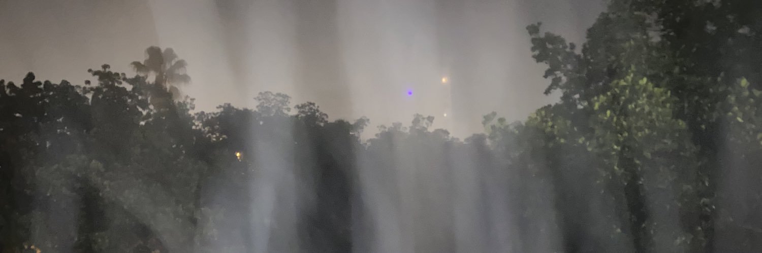 DeniseLivess's profile banner image