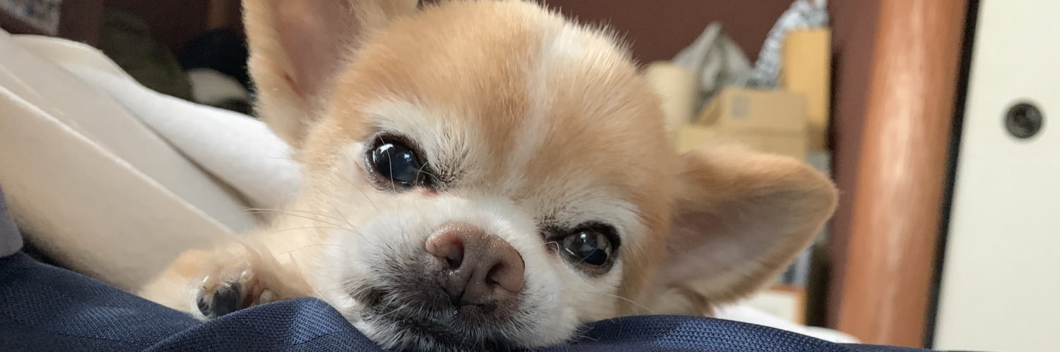 ___eeegao's profile banner image