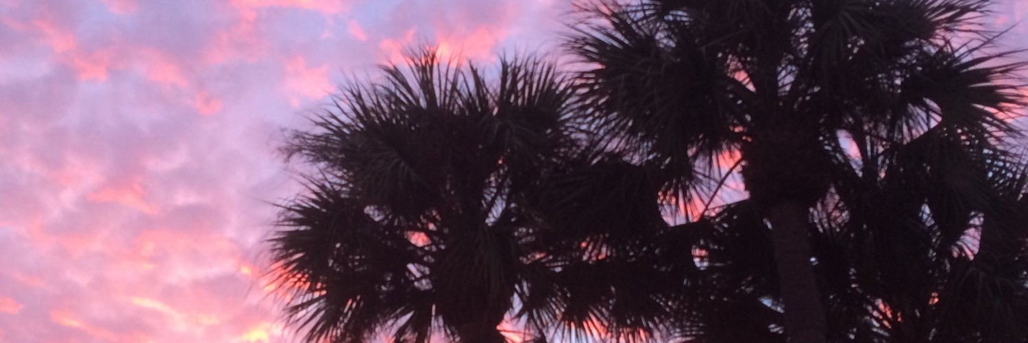 Chlo_Isaac's profile banner image