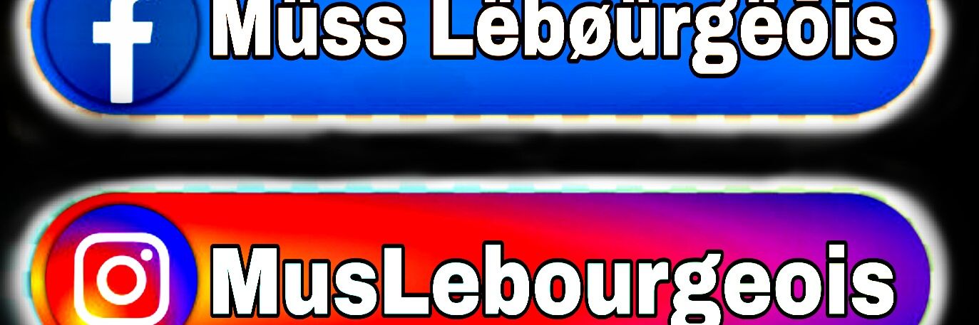 MussLebourgeois's profile banner image