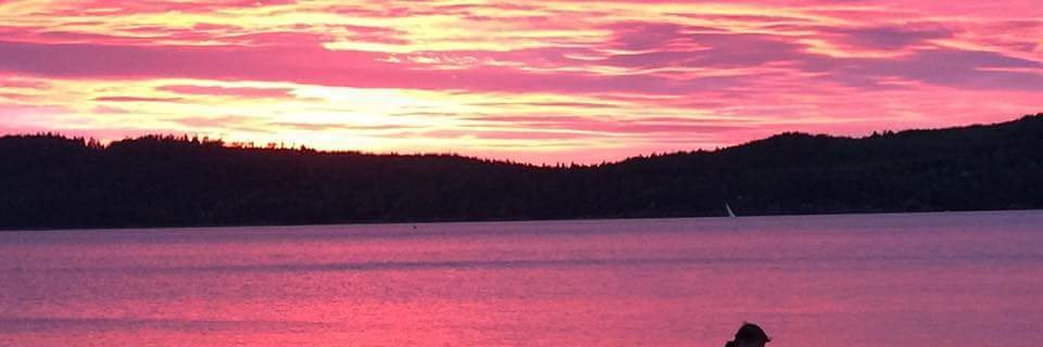 LMiore's profile banner image