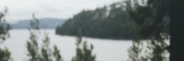 bellshirae's profile banner image