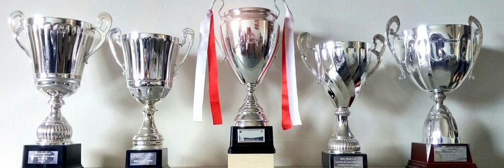 newteamcfs's profile banner image