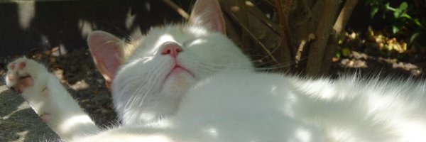 Elinuuuhhh Profile Banner