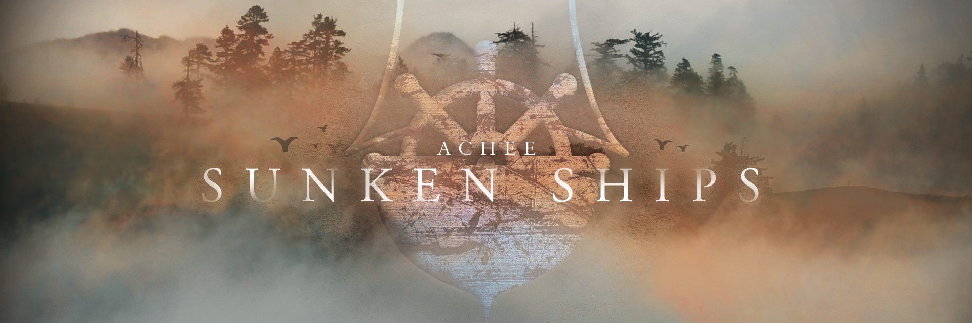 Acheemusic's profile banner image