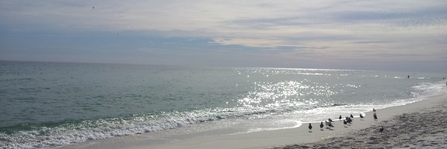 HeatherGillman's profile banner image
