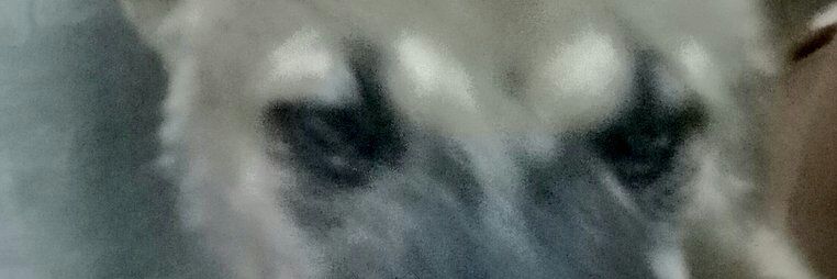 Sregieline's profile banner image