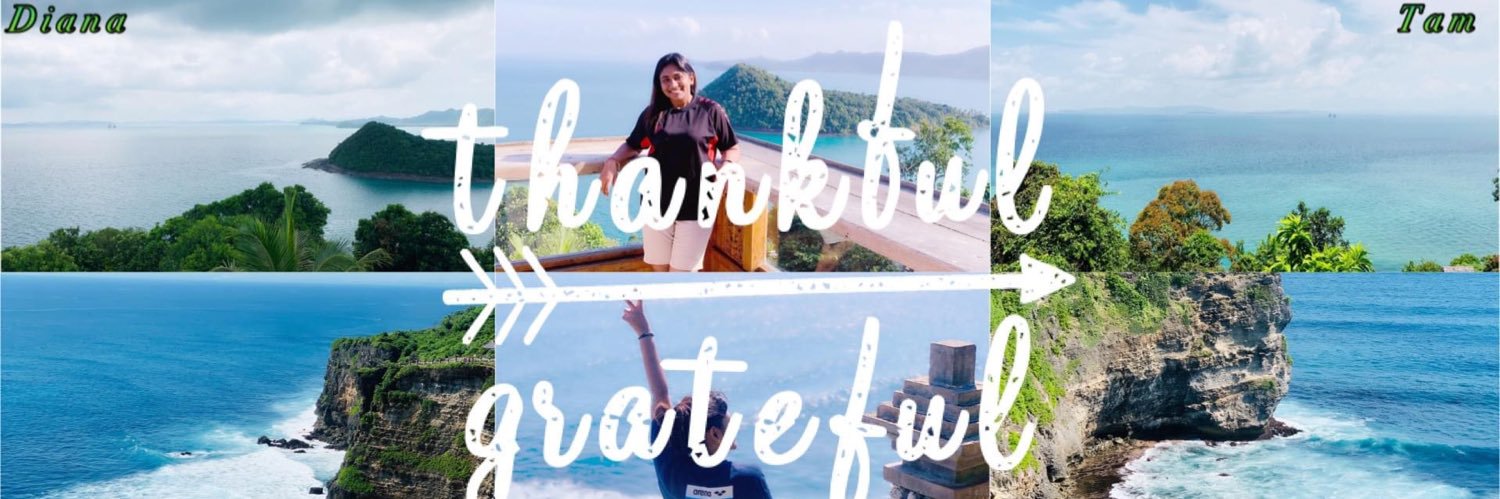 dianatam29's profile banner image