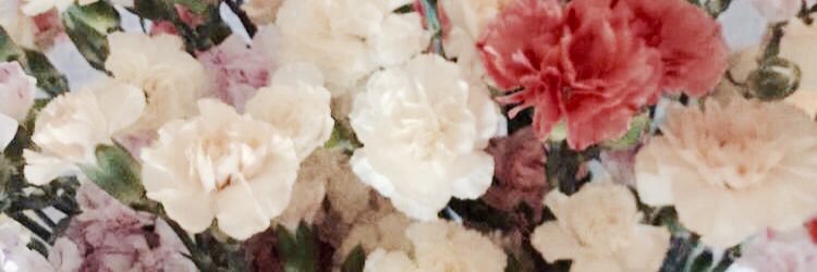 lauraaNguyenn's profile banner image
