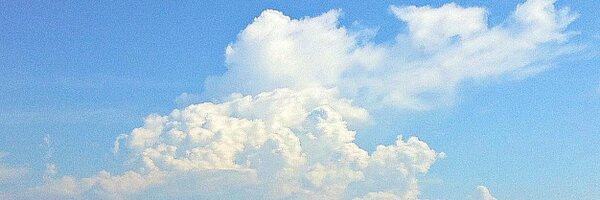 tripper1445 Profile Banner