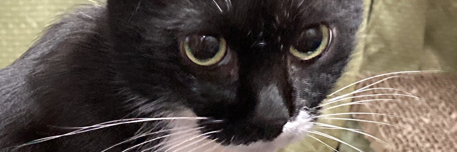 ウィングゼロ banner