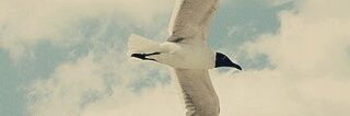 am55555_f's profile banner image