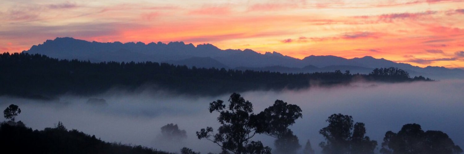 MartaGS4's profile banner image