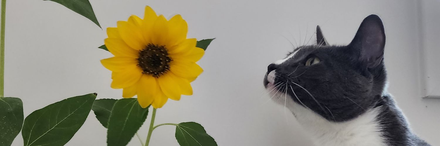 Azure_Pyro's profile banner image