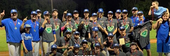 East Lake Baseball banner