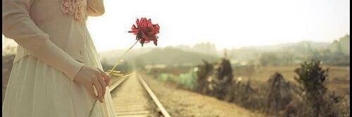 IN_alsafi's profile banner image