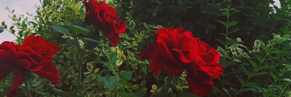 EmilyKatherynSm's profile banner image
