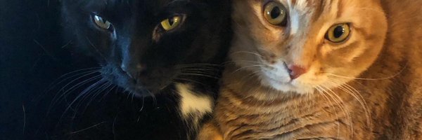 BS_TCA Profile Banner