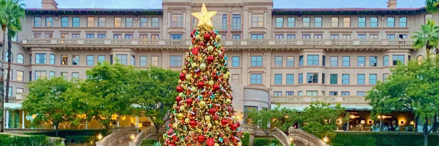 Cynthia PhD MPH banner