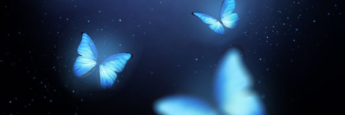 naoki06257's profile banner image