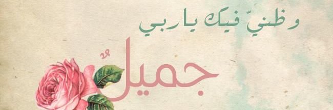 safiaibrahem's profile banner image