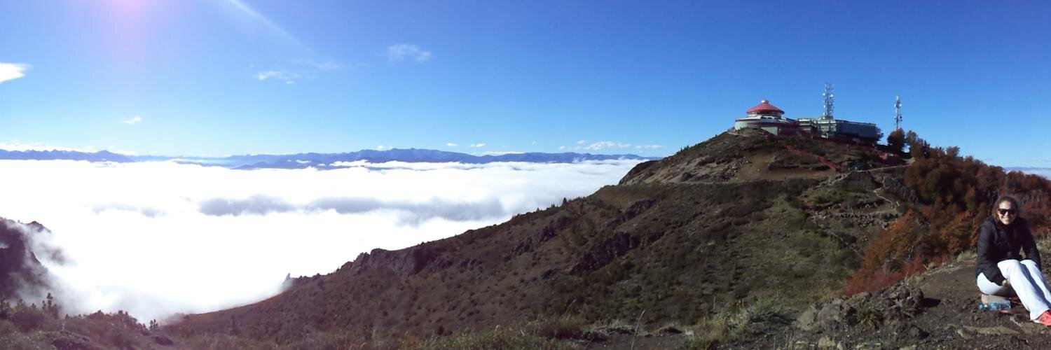 Andrea Medina (mumi) banner