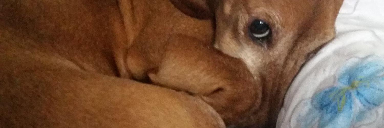 2janer's profile banner image