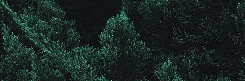 amalramadius's profile banner image