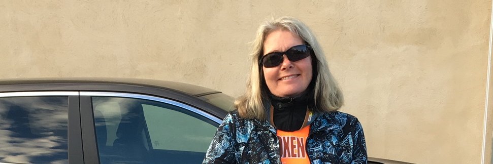 Lena Söderström banner