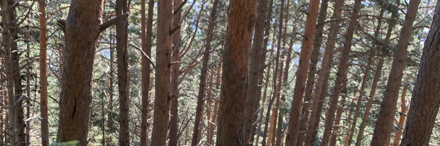 BaletaJavi's profile banner image
