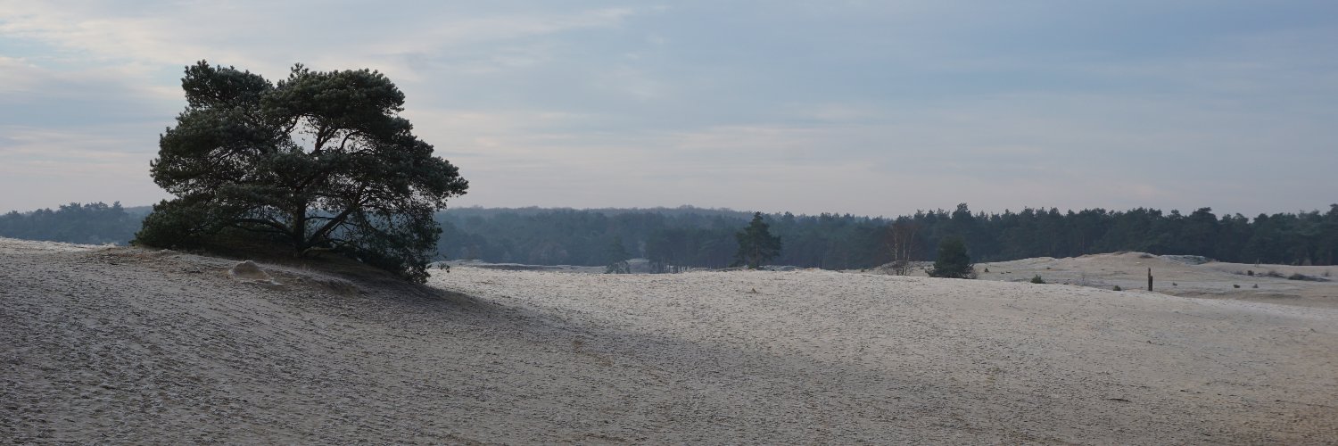 sprintercity's profile banner image