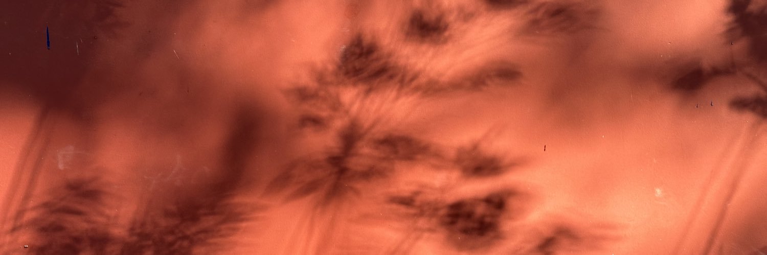 smallstroll's profile banner image