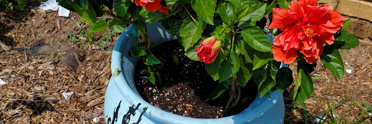 Mark Sparkman banner