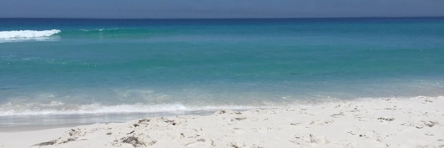 Liviaasantoss's profile banner image