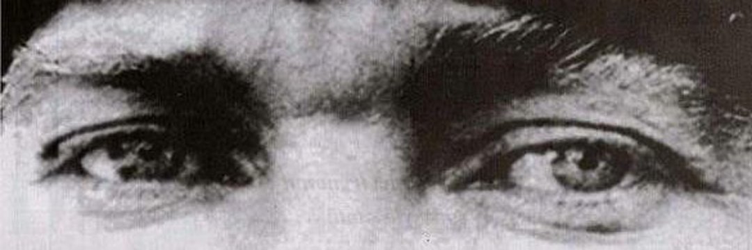 papinik1's profile banner image